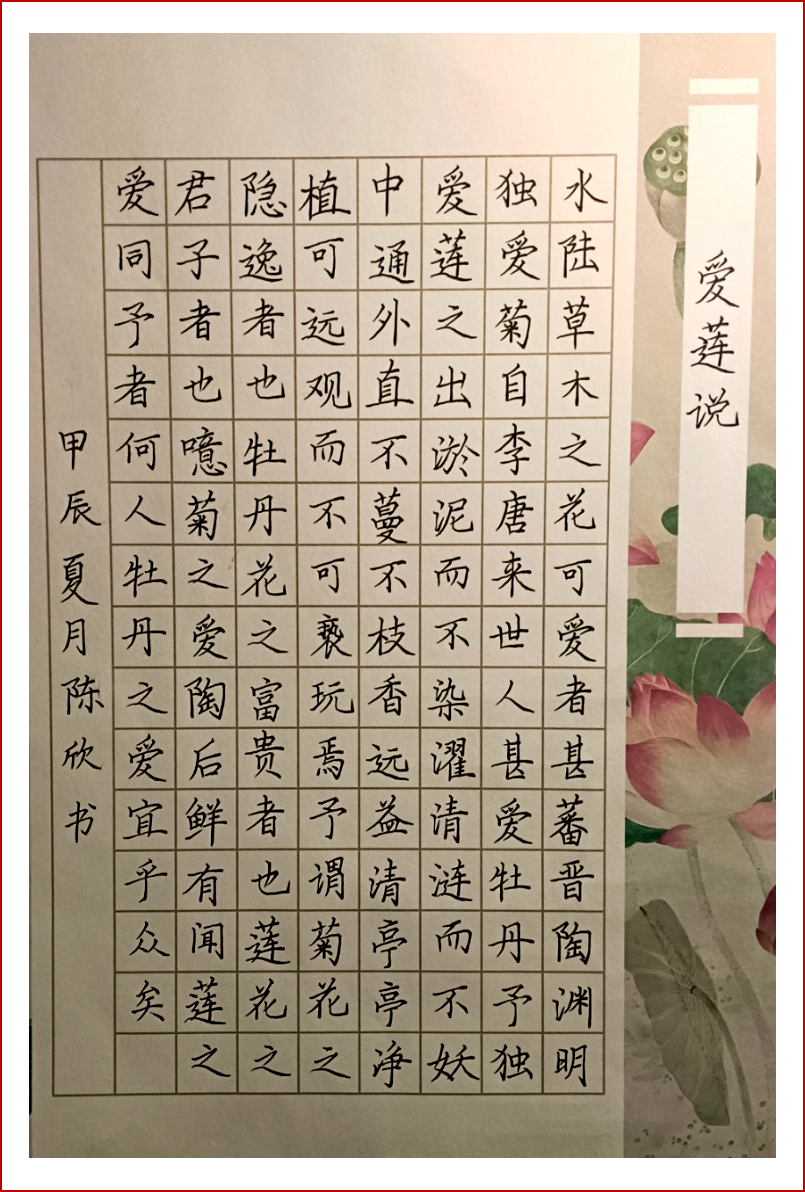 047🚱、陈欣2023级20五年专2班13960605452.png