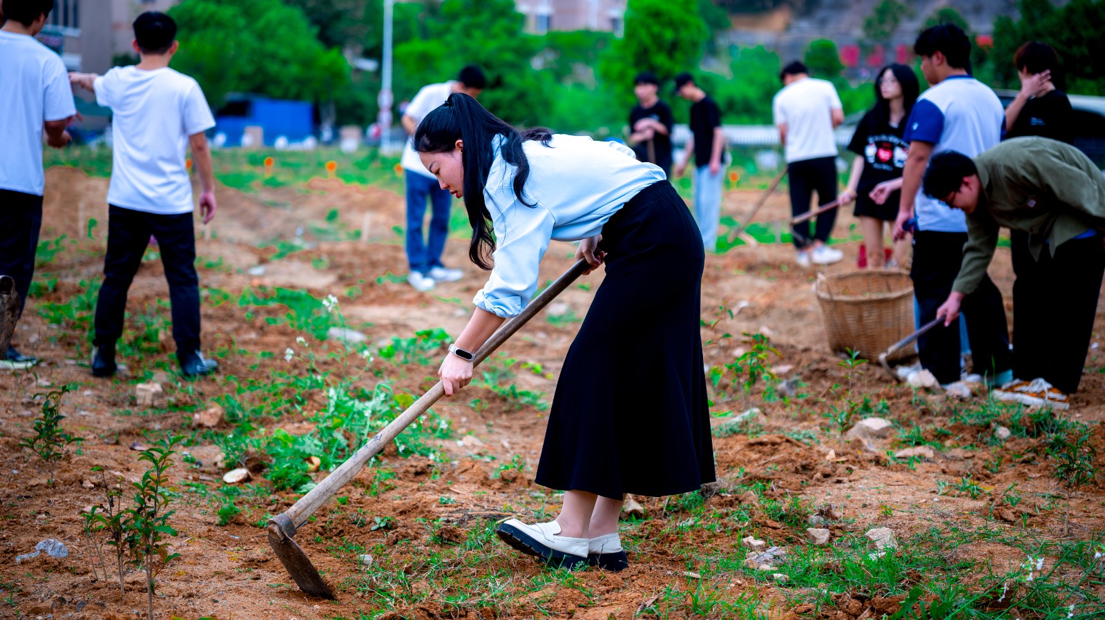 DSC_0450-已增强-降噪.jpg